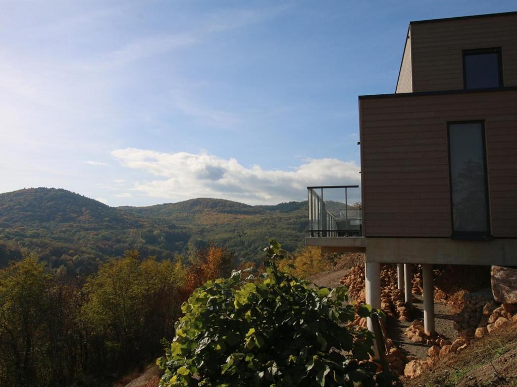 Alsace Panorama Villa Barr Exterior foto